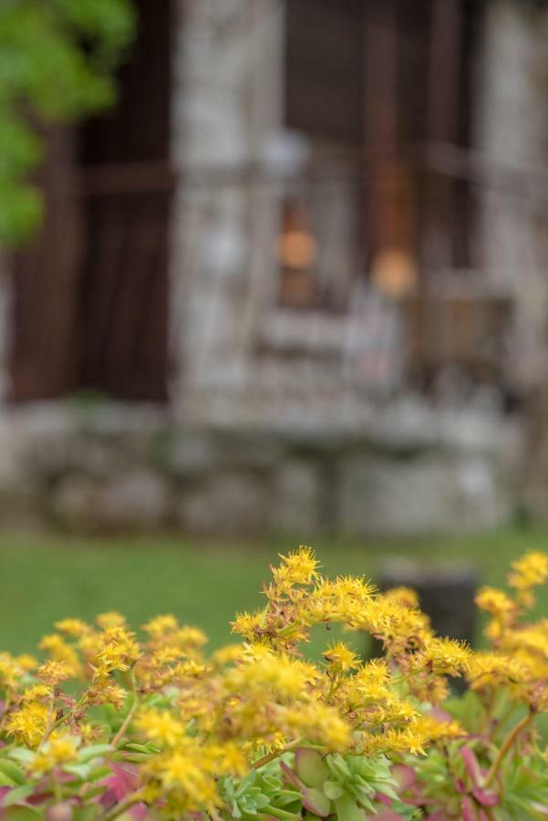 Apartment Urban Garden Rijeka Extérieur photo